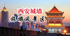 偷拍女尿尿系列中国陕西-西安城墙旅游风景区