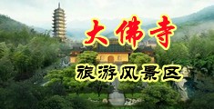 欧美荡妇A级免费中国浙江-新昌大佛寺旅游风景区
